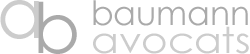 avocat informatique et droit - Baumann Avocats